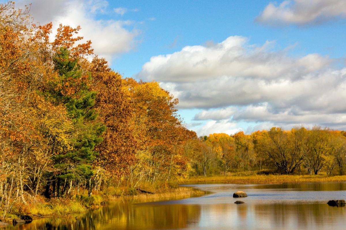 Competition entry: Bay Of Fall Colors