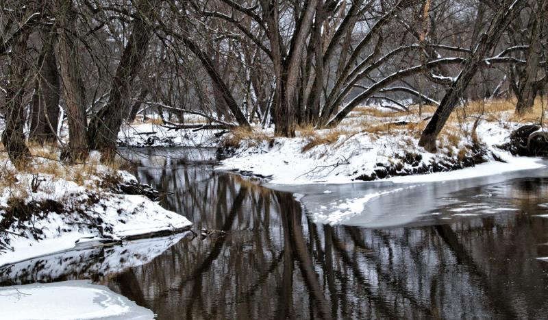 Competition entry: Black River at North Bend