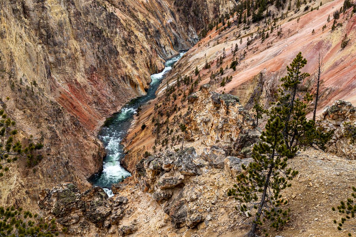 Competition entry: Yellowstone River