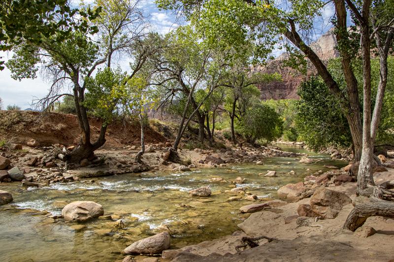 Competition entry: Virgin River, Zion NP