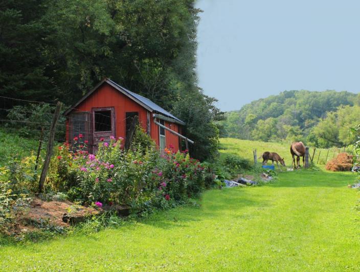 Competition entry: Pink Shed