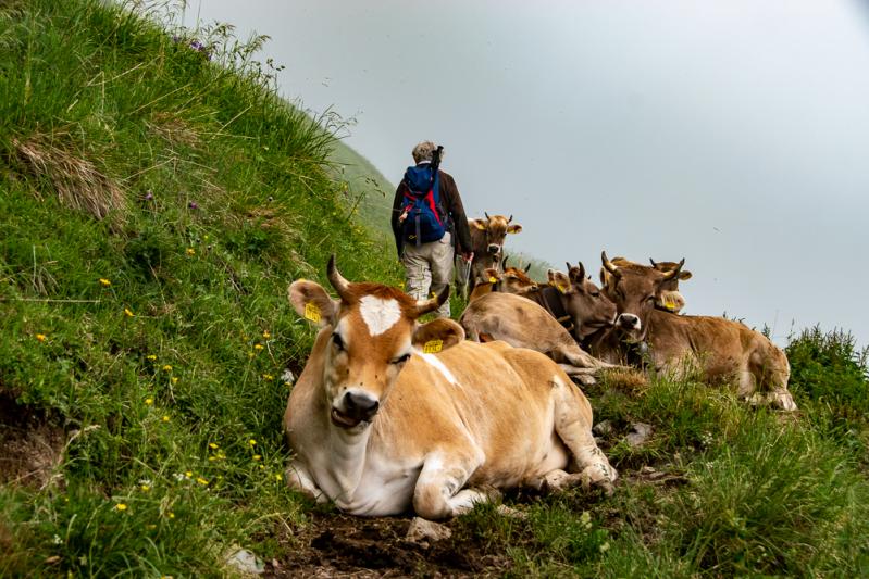 Säntis, Hiking