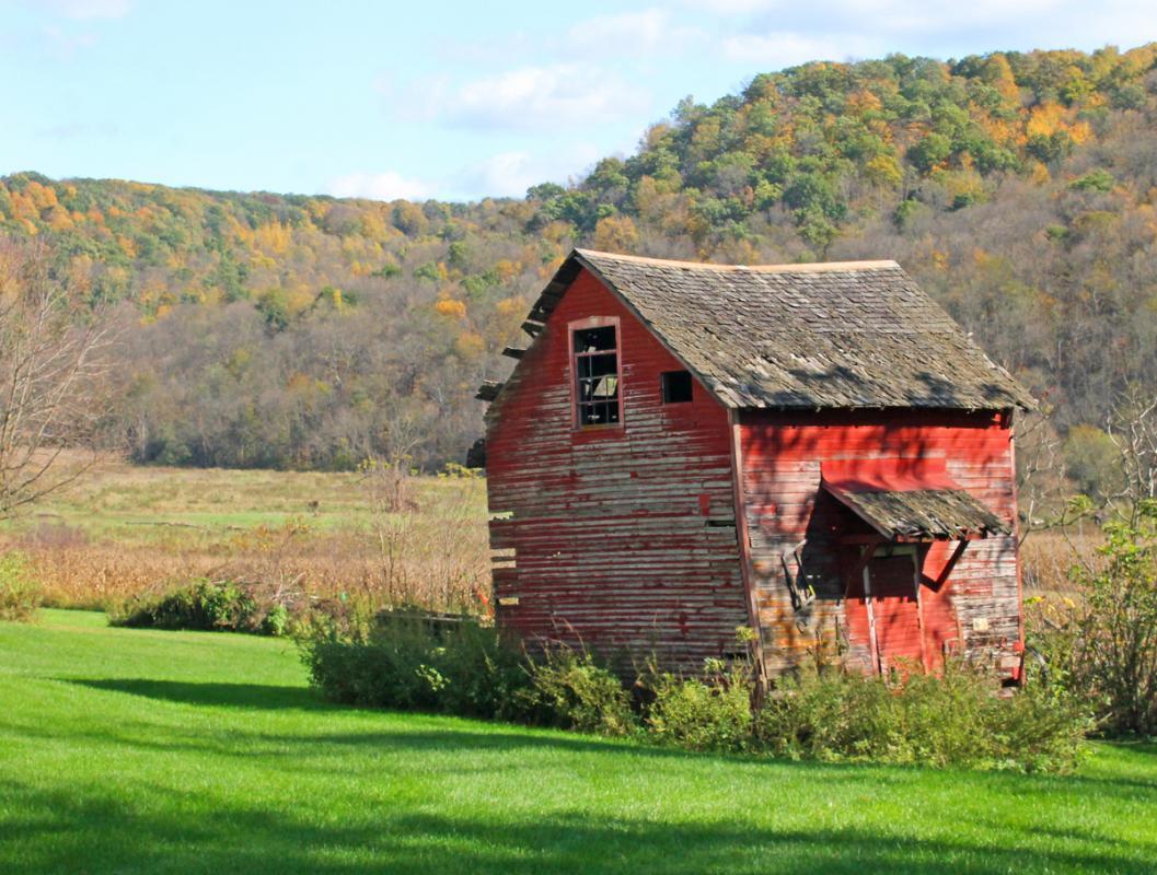 Competition entry: Old red shed