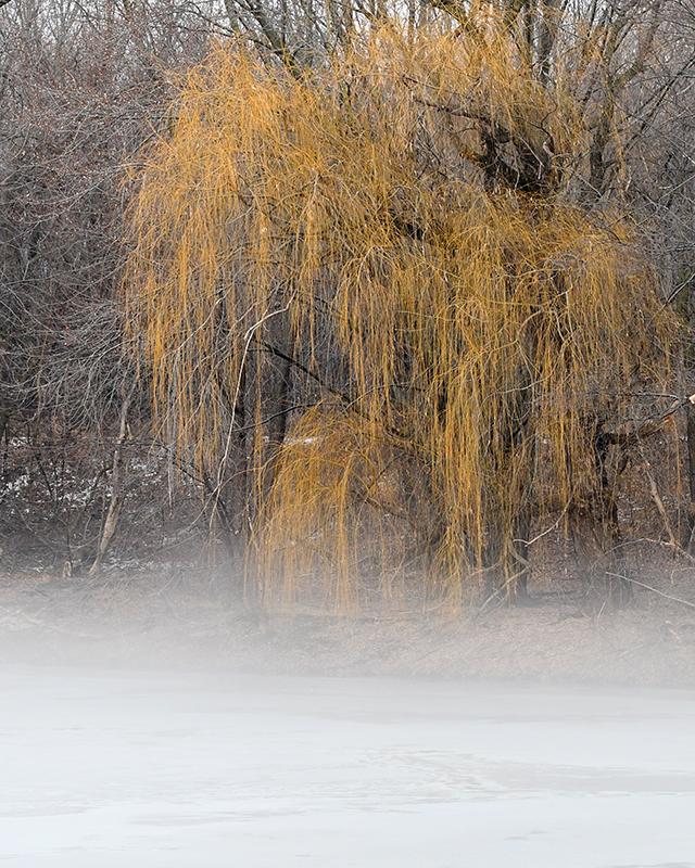 Competition entry: ground fog day