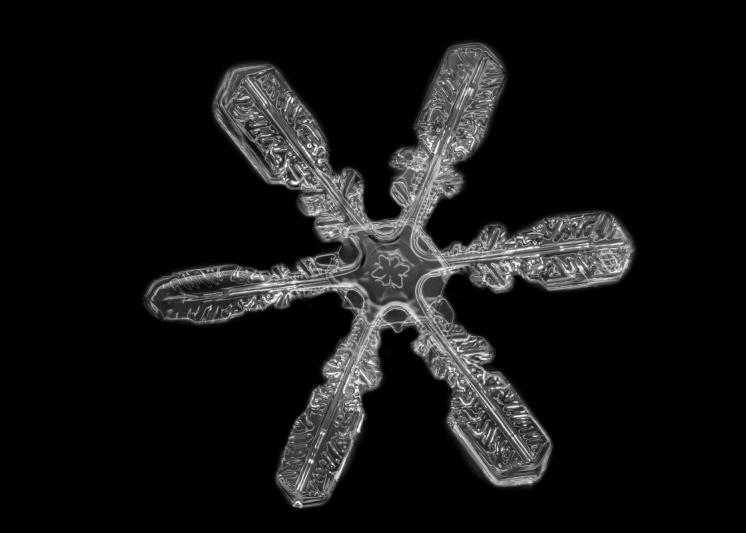 A single snowflake on a black background.