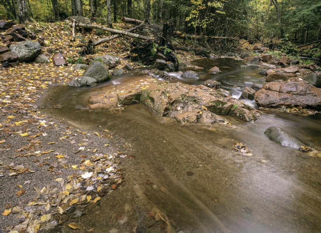 Competition entry:  looking Downstream