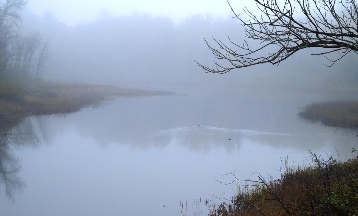 Competition entry: Foggy Morning Cruise