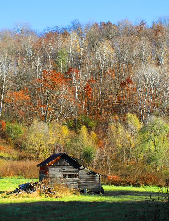 Competition entry: Old Shed #4