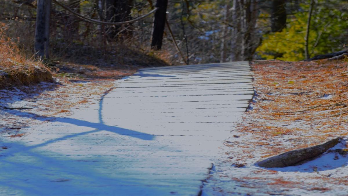 Competition entry: winter walk way