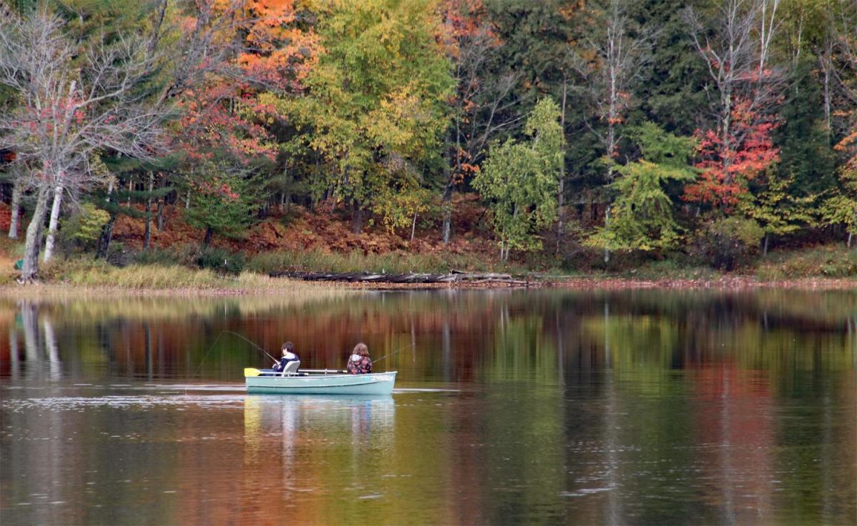 Competition entry: Fall Fishing