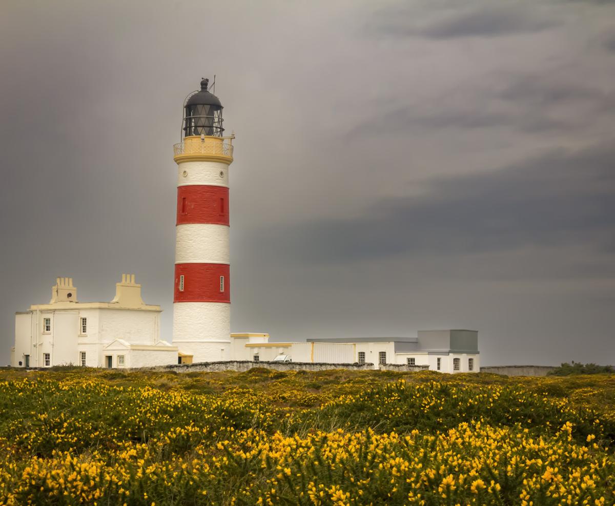 Competition entry: Point Aryn Lighthouse