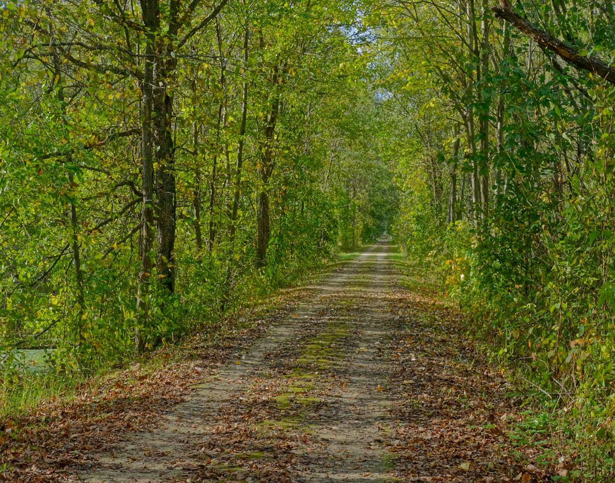 Competition entry: A PEACEFUL WALK