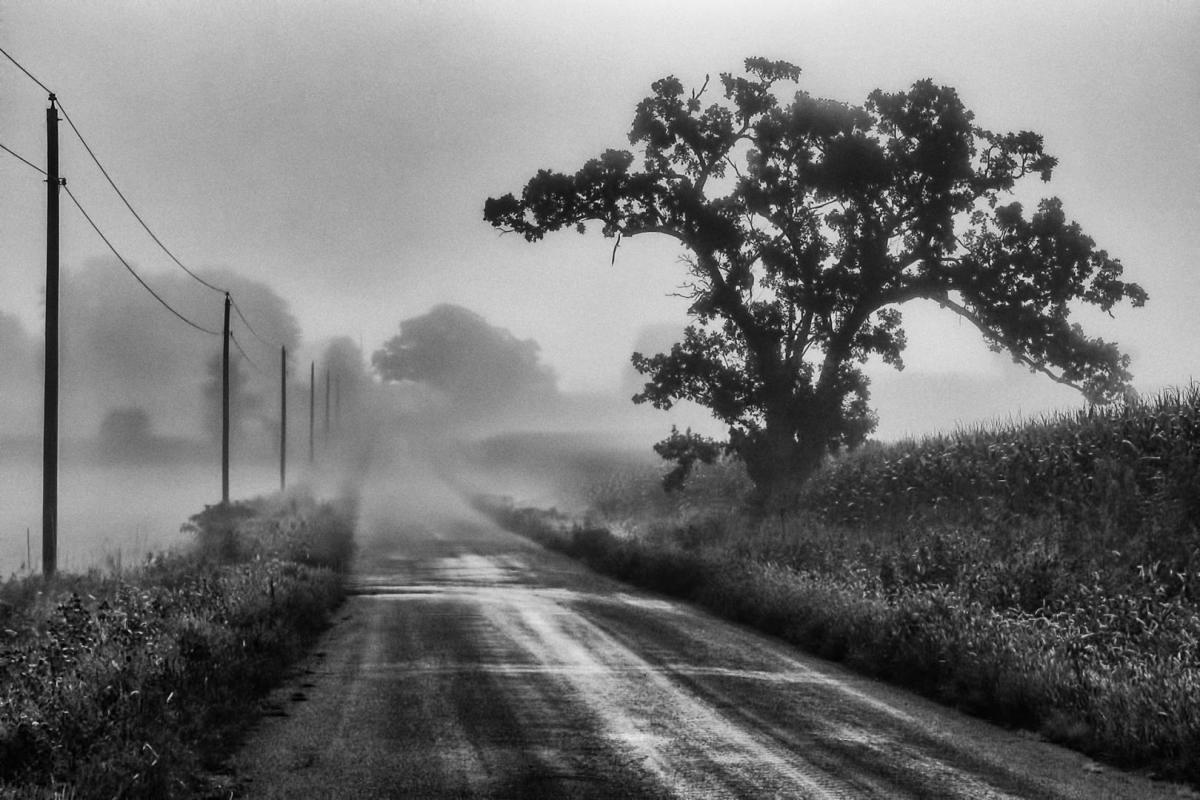 Competition entry: Foggy Morning