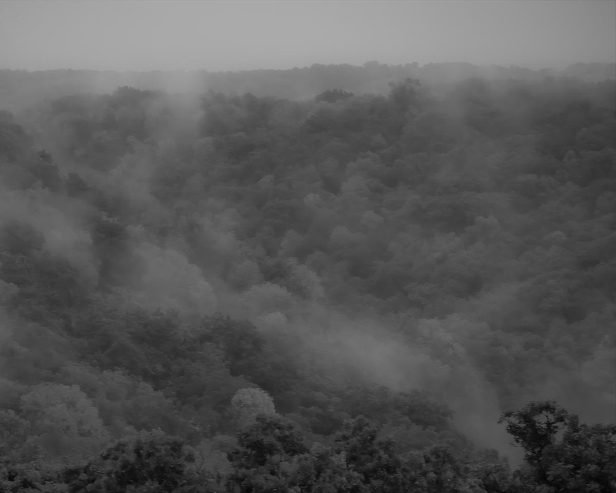 Competition entry: Trees and Clouds