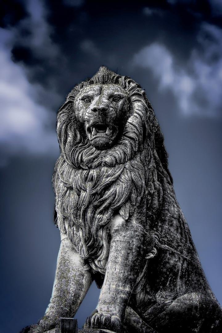 Competition entry: The Lion