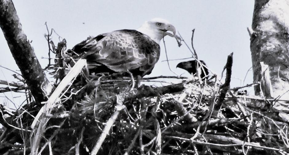 Competition entry: Lunch time