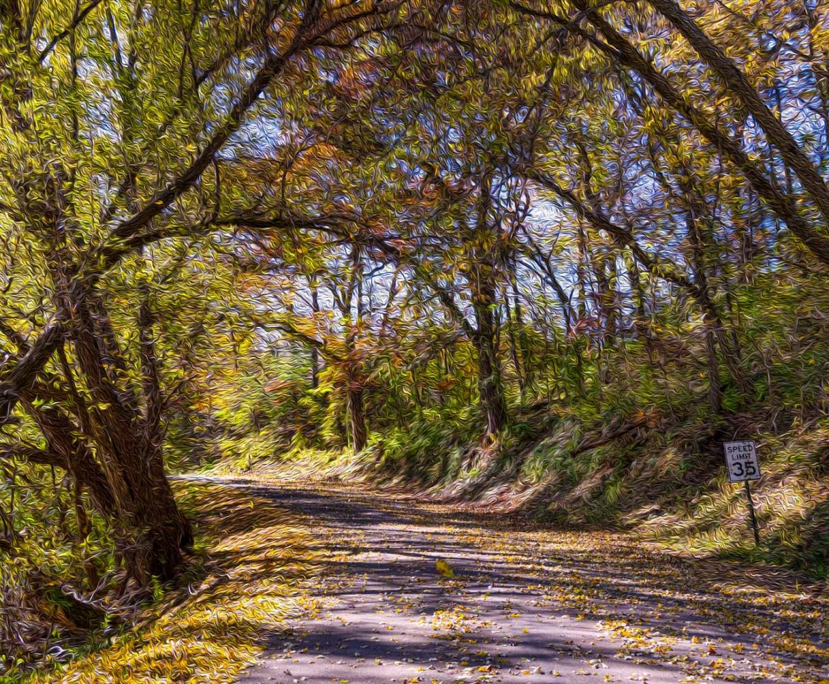 Competition entry: Country Road in Fall