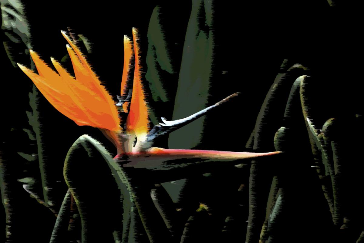 Competition entry: Windy Day