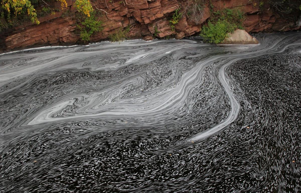 Competition entry: Nature's Art