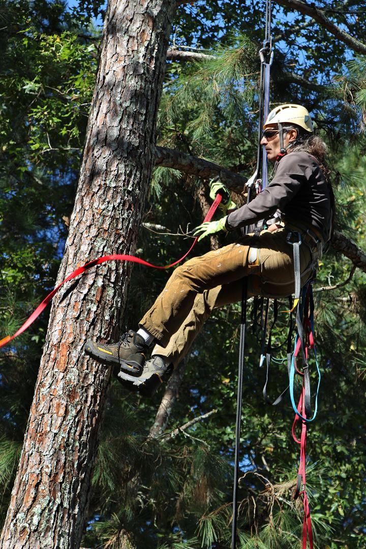 Competition entry: Ali giving his in-laws more gray hairs