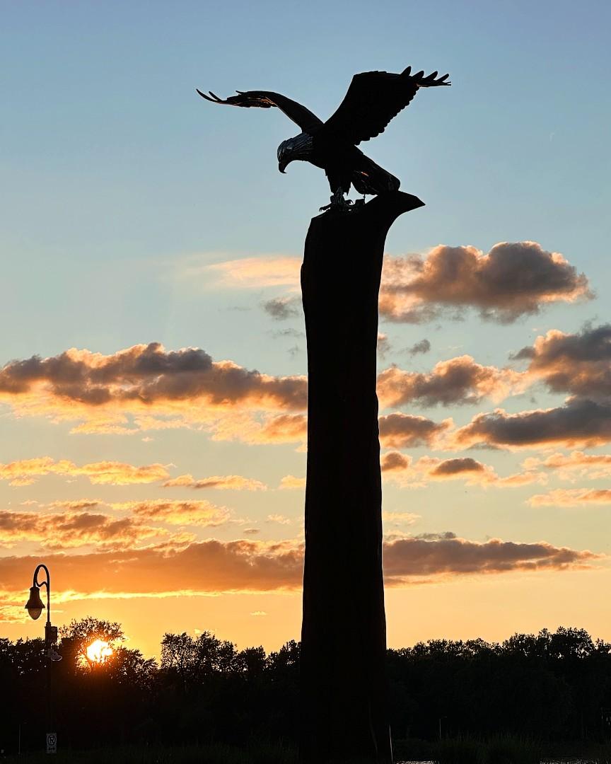 Competition entry: Big Eagle