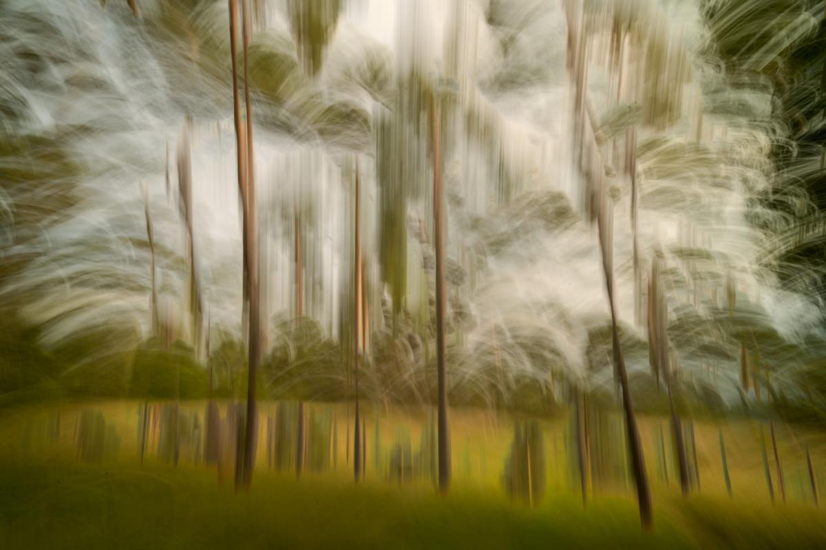 Competition entry: Fall Explosion