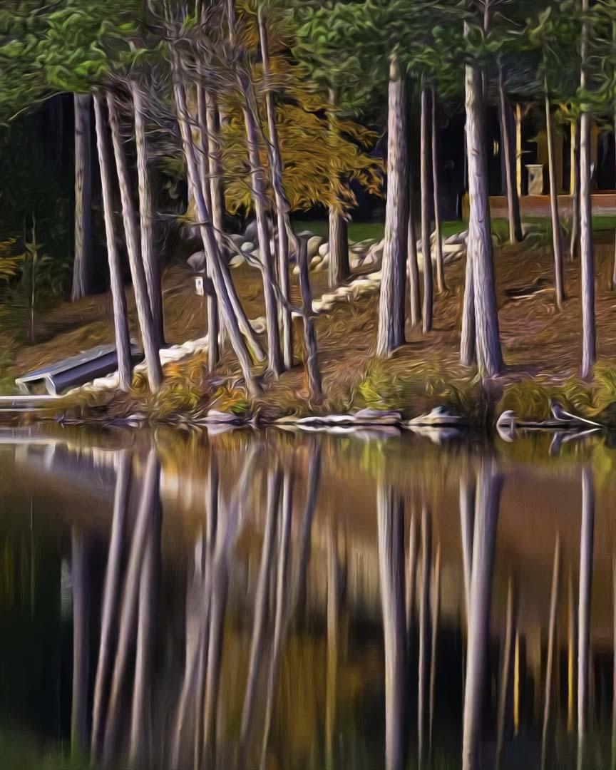 Competition entry: Perfect Reflection