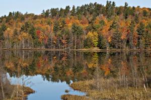 Competition entry: Autumn Reflection