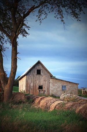 Competition entry: The Old Shed