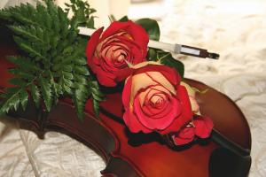 Competition entry: Violin and Roses