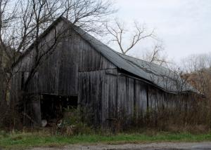 Competition entry: Old Tobacco Shed