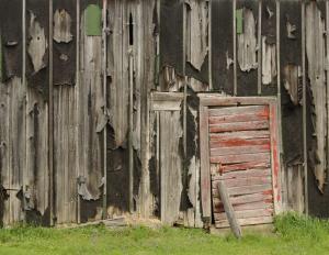 Competition entry: Black barn-red door