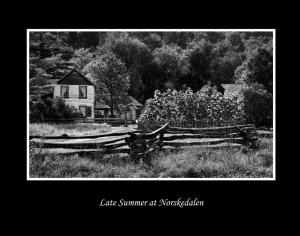 Competition entry: Late Summer in Norskedalen