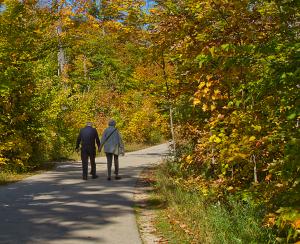 Competition entry: Enjoying the Autumn of Life