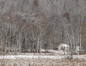 Competition entry: Newton Valley Shack