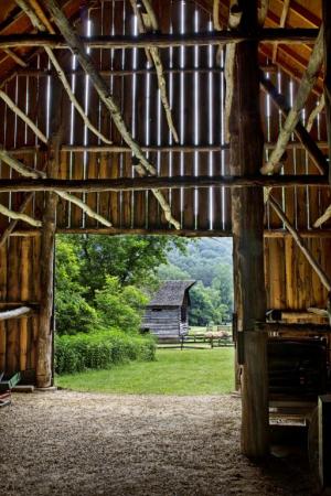 Competition entry: View from the Tobacco Shed