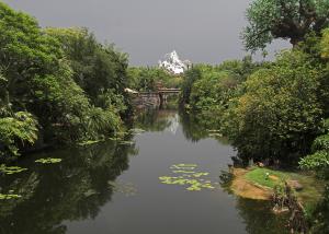 Competition entry: Expedition Everest