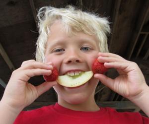 Competition entry: Fruit Face