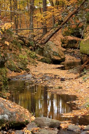 Competition entry: Durward Glen