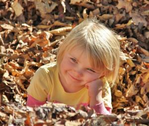 Competition entry: Darby in leaves