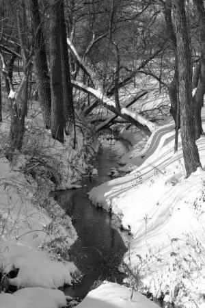 Competition entry: Creek in Winter