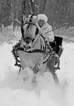 Competition entry: Dashing through the Snow