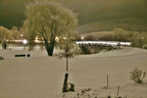 Competition entry: First Snow in Coon Valley Park