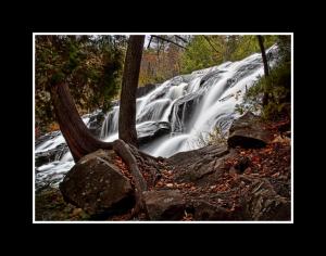 Competition entry: Bond Falls and Tree Roots