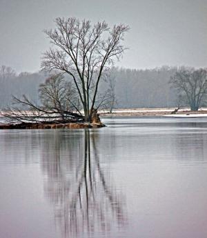 Competition entry: Winter Reflection