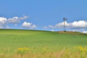 Competition entry: Partly sunny day on country road