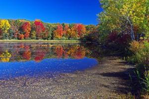 Competition entry: Fall Reflections