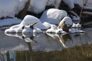 Competition entry: Winter Reflection