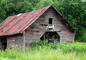 Competition entry: Old Shed with Tractor