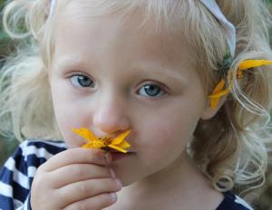 Competition entry: Stop and Smell the Flowers